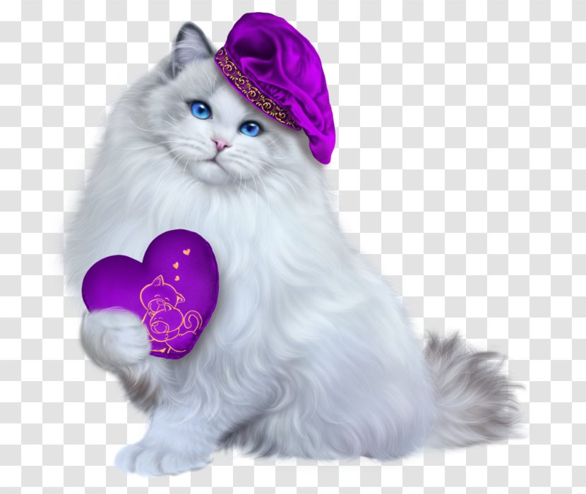 Whiskers Norwegian Forest Cat Kitten Domestic Long-haired Online Chat - Shorthaired Transparent PNG