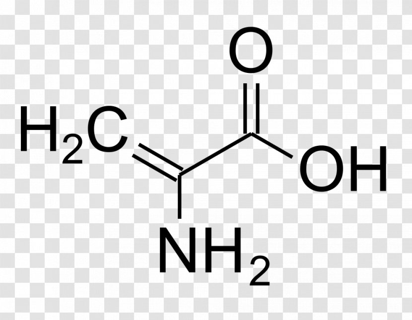 Phenylalanine Ammonia-lyase Amino Acid Leucine Tyrosine - Threonine - Hydro Transparent PNG