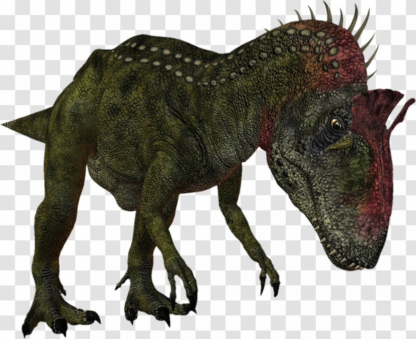 Ceratosaurus Tyrannosaurus Dinosaur Velociraptor Dilophosaurus - Triceratops Transparent PNG