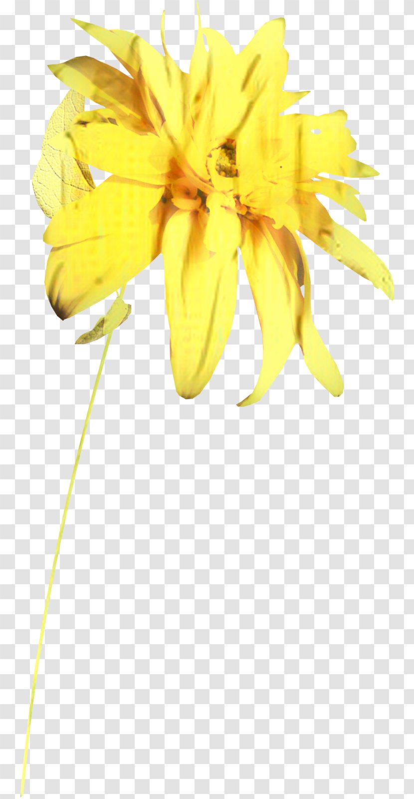 Floristry Cut Flowers Petal Plant Stem Sunflower - Wildflower Transparent PNG