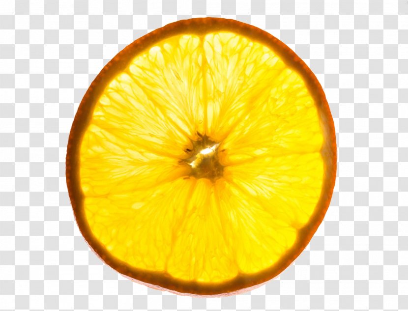 Lemon Citrus Junos Vegetarian Cuisine Citric Acid - Citron - Creative Transparent PNG
