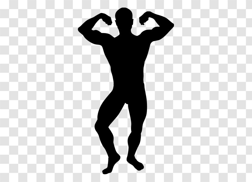 Fitness Cartoon - Exercise - Joint Shoulder Transparent PNG