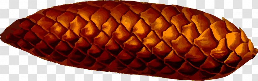 Conifer Cone Pine Clip Art - Fruit Transparent PNG