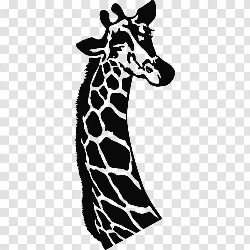 Giraffe Horse White Terrestrial Animal Wildlife - Black And Transparent PNG