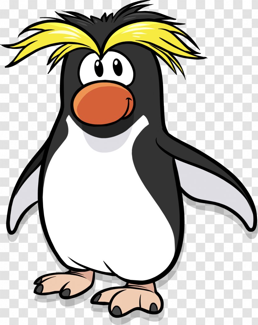 Club Penguin Southern Rockhopper African - Flightless Bird Transparent PNG