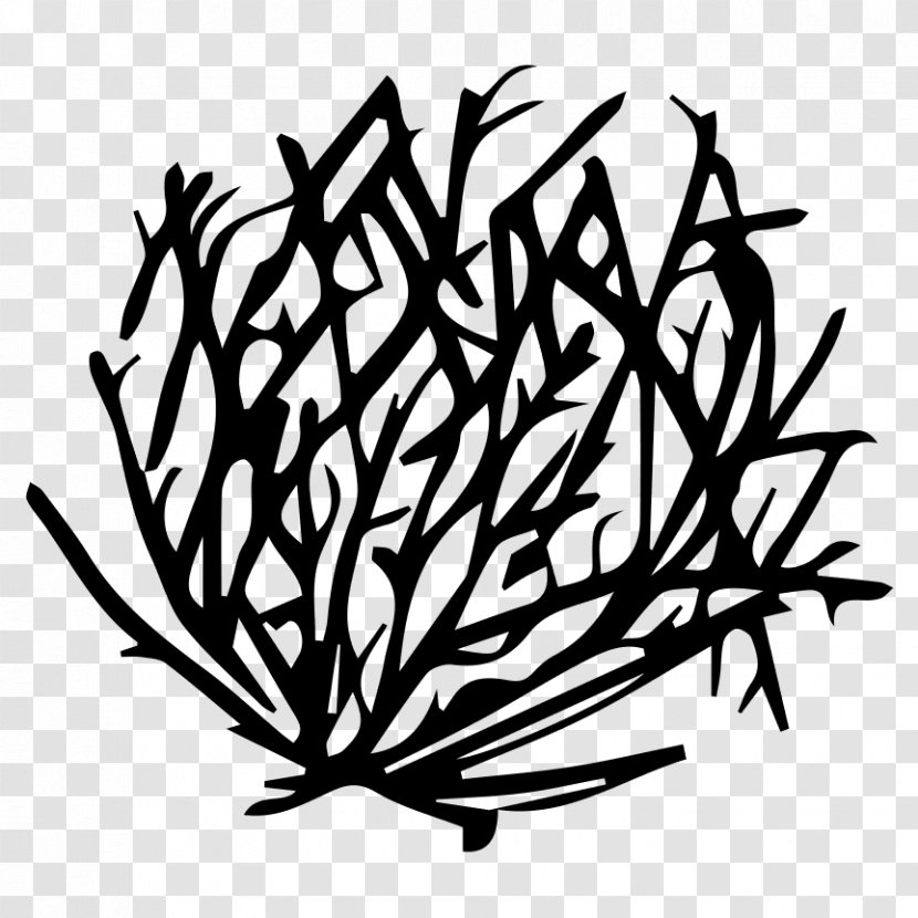 Tumbleweed Drawing Clip Art - Flower - Black Ink Transparent PNG