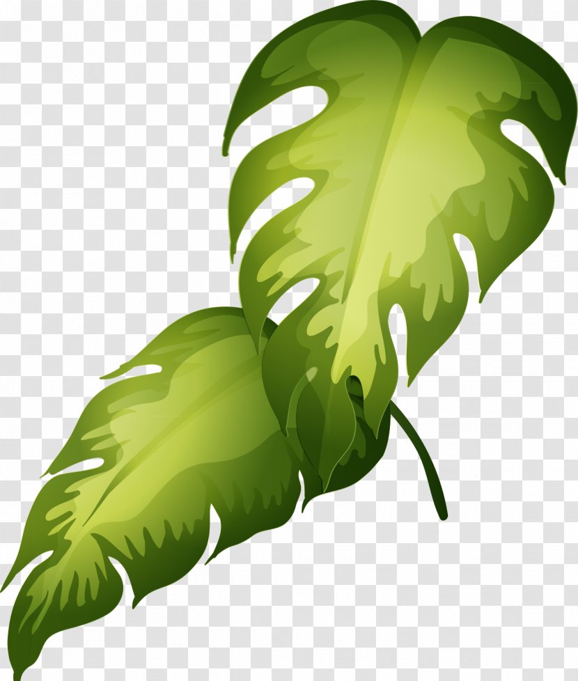 Ornamental Plant Clip Art - Green - Cartoon Leaf Material Transparent PNG
