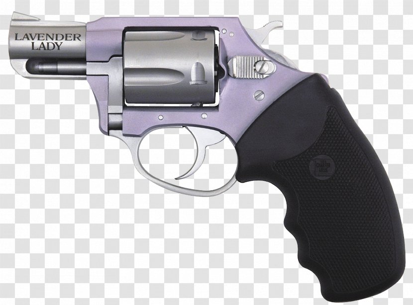 .38 Special Charter Arms Firearm .32 H&R Magnum Revolver - Air Gun Transparent PNG