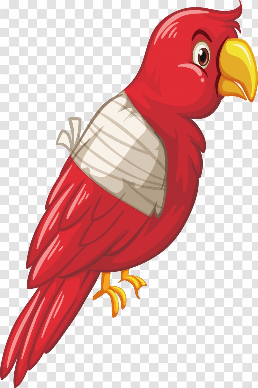 Parrot Bird Royalty-free Clip Art - Chicken - Vector Painted Cute Transparent PNG