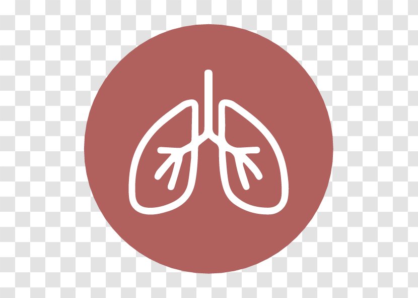 Breathing Lung Respiratory System Pulmonology Human Body - Tree - Silva Transparent PNG