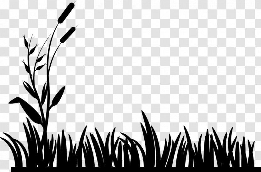Black Clip Art - Grasses - And White Transparent PNG