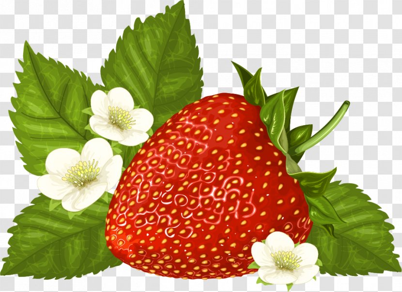 Vector Graphics Clip Art Image Illustration - Local Food - Strawberry Flower Transparent PNG
