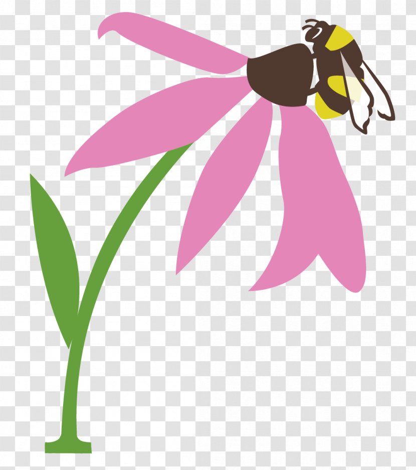 Bee Clip Art Butterfly Pollination Pollinator - Dragonflies And Damseflies Transparent PNG