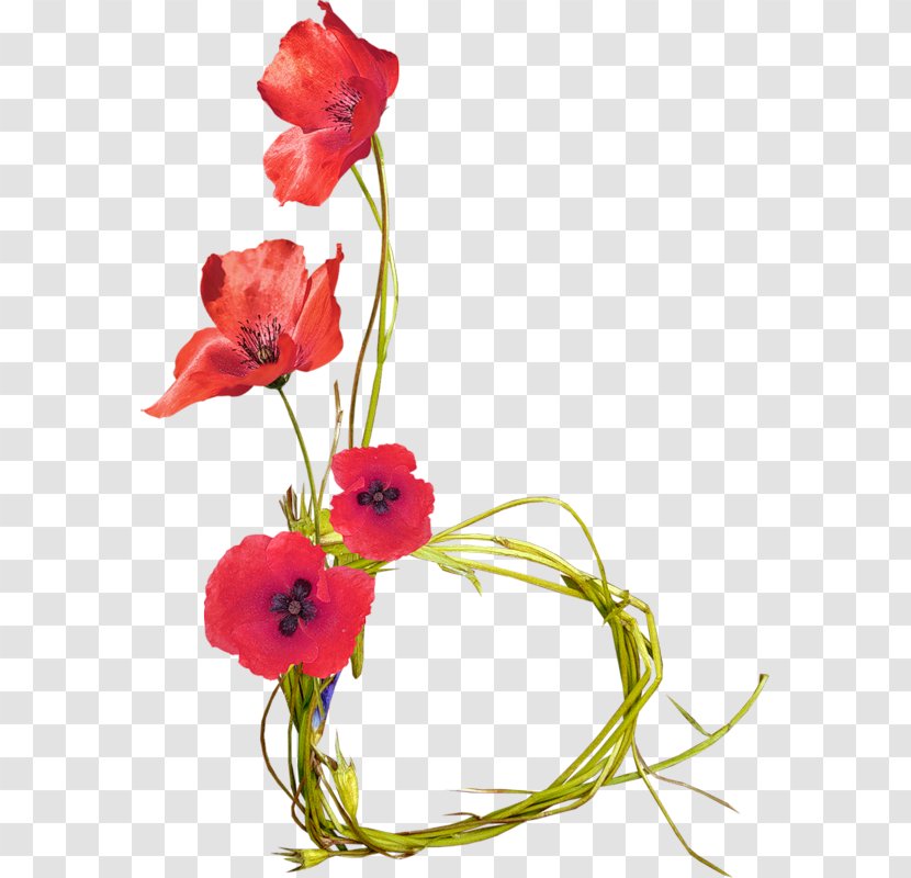 Cut Flowers Poppy Flower Bouquet Clip Art Transparent PNG