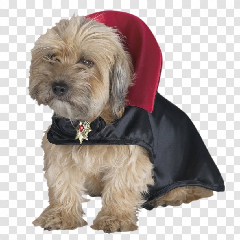 Count Dracula Dog Cat Disguise - Clothes Transparent PNG