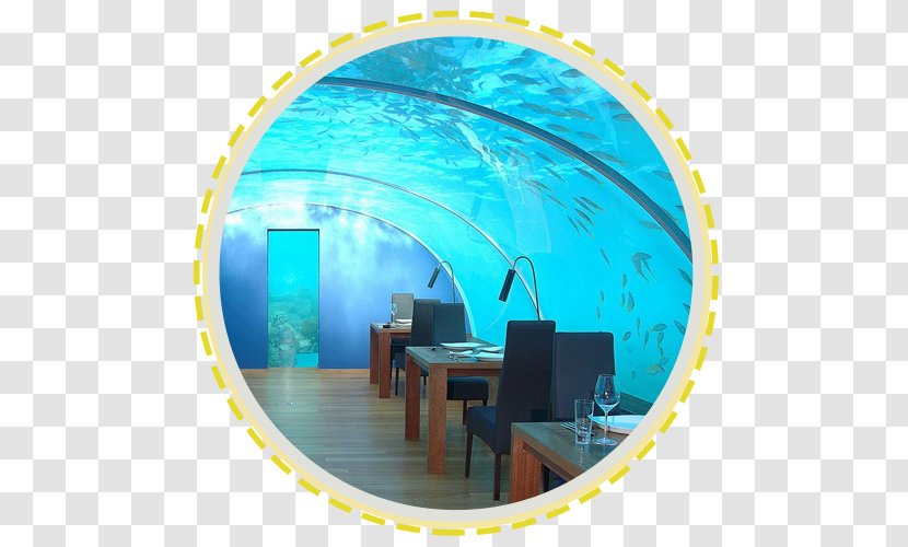 Ithaa Conrad Maldives Rangali Island Hydropolis Fiji - Blue - Hotel Transparent PNG