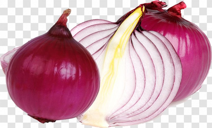 Onion Allium Fistulosum Garlic Vegetable Food - Dietary Fiber - Vegetables Transparent PNG