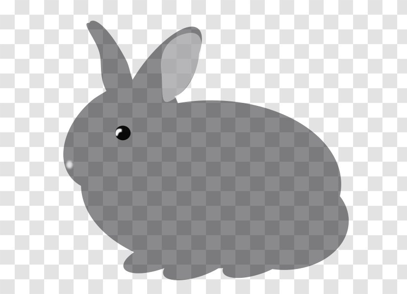 Domestic Rabbit Hare Purebred Meats Chicken Clip Art - Animal Transparent PNG