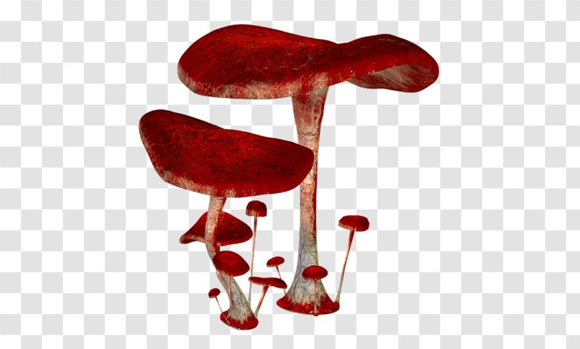 Mushroom Red Euclidean Vector - Blood Transparent PNG