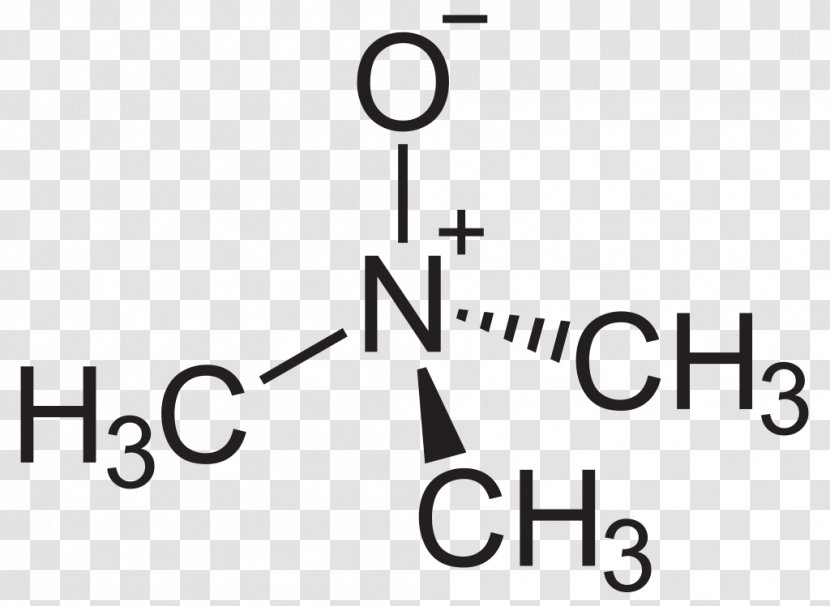Trimethylamine N-oxide Amine Oxide N-Methylmorpholine - Triethylamine Transparent PNG