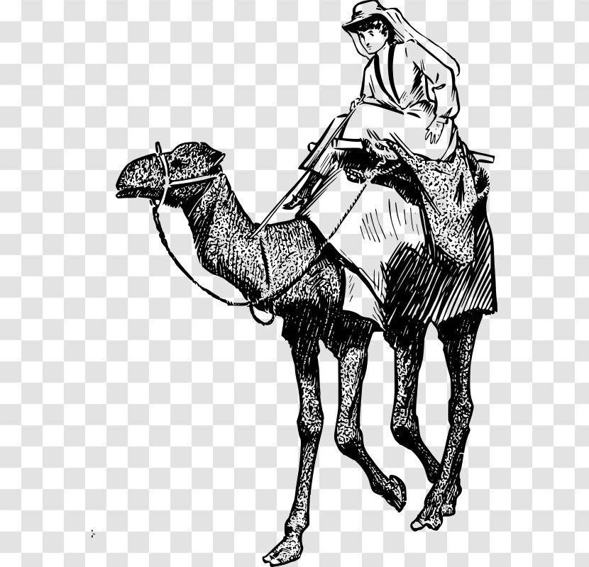 Bactrian Camel Dromedary Equestrian Horse Clip Art - Monochrome - Clipart Transparent PNG