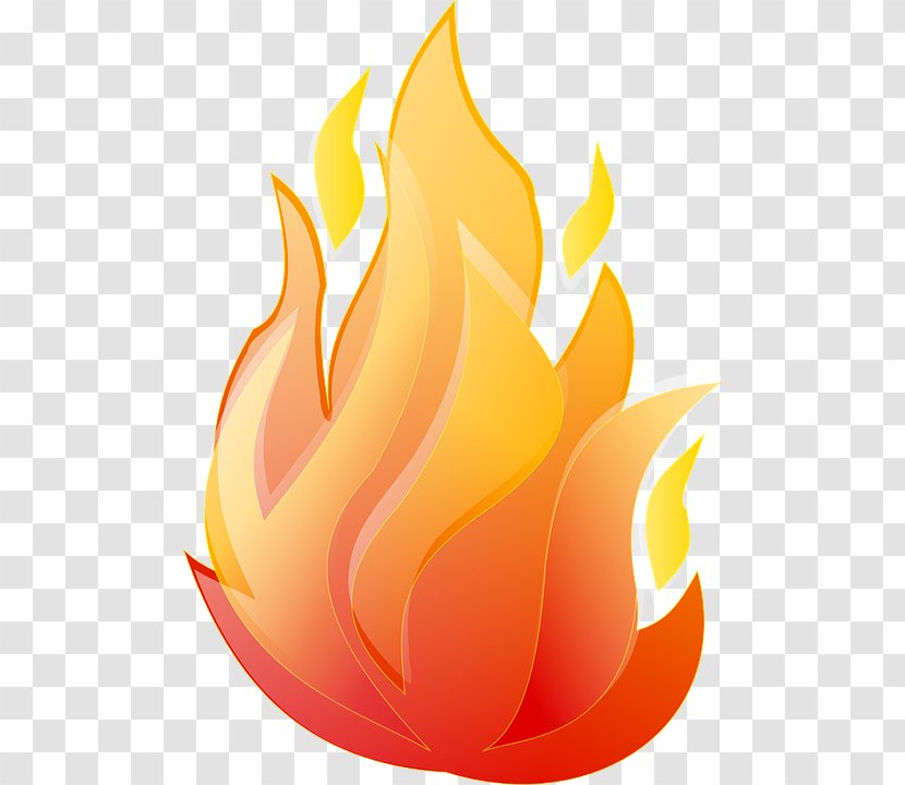Flame Animation Clip Art - Torch Transparent PNG