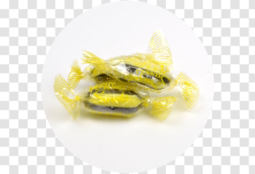 Liquorice Sugar Anise Ingredient Candy - Aniseed Transparent PNG