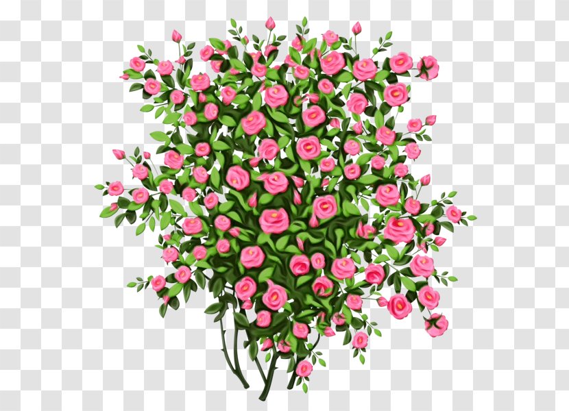 Bouquet Of Flowers Drawing - Cut - Pink Family Perennial Plant Transparent PNG