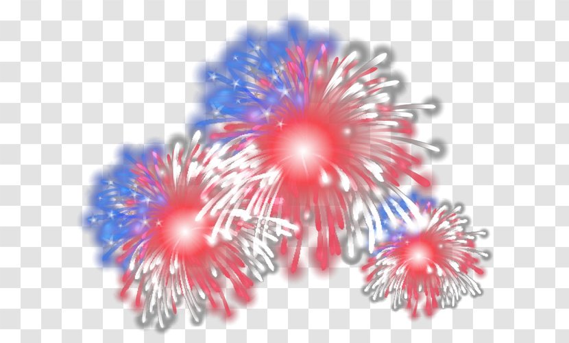 Petal - Pink - Fireworks Transparent PNG