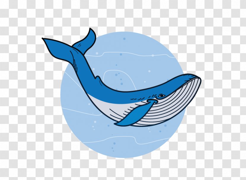 Requiem Sharks Marine Biology Dolphin - Whales Dolphins And Porpoises - Blue Whale Endangered Solutions Transparent PNG