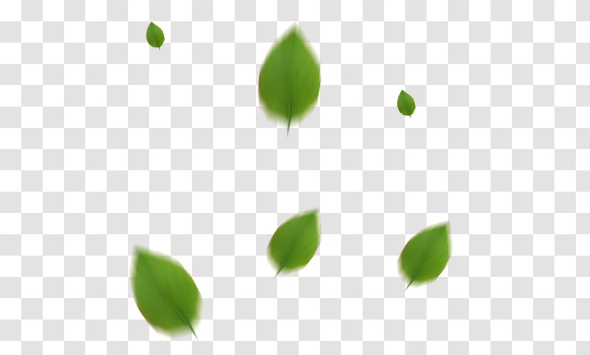 Leaf Desktop Wallpaper Image GIF - Plant - Clinician Symbol Transparent PNG