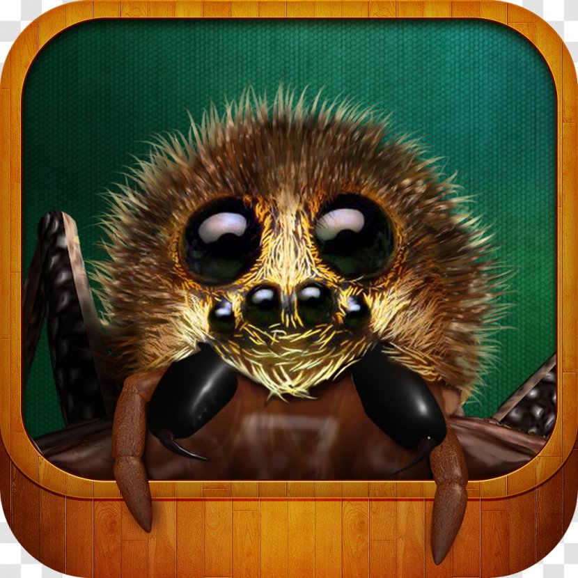 Real Scary Spiders Apple App Store IPhone Computer - Pocket Transparent PNG
