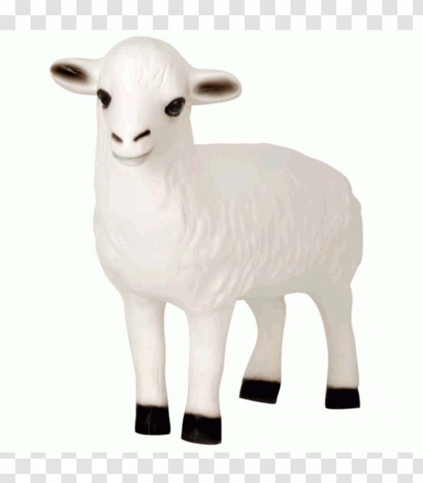 Sheep Goat Snout - Horn Transparent PNG
