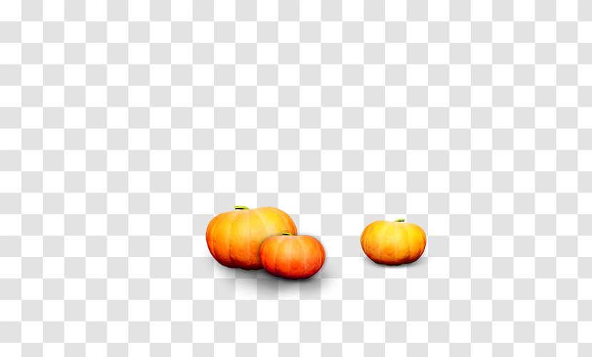 Calabaza Gourd Pumpkin Winter Squash - Jackolantern Transparent PNG