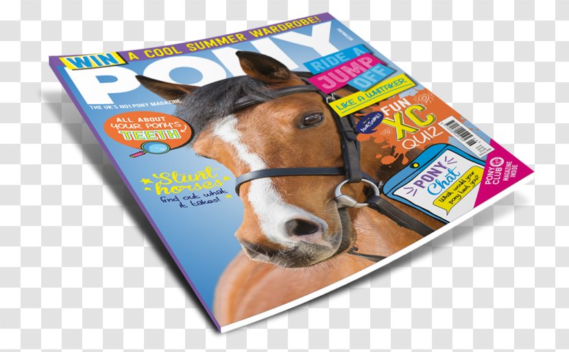 PONY Magazine Horse DJ Murphy Publishers Ltd - Pony Transparent PNG