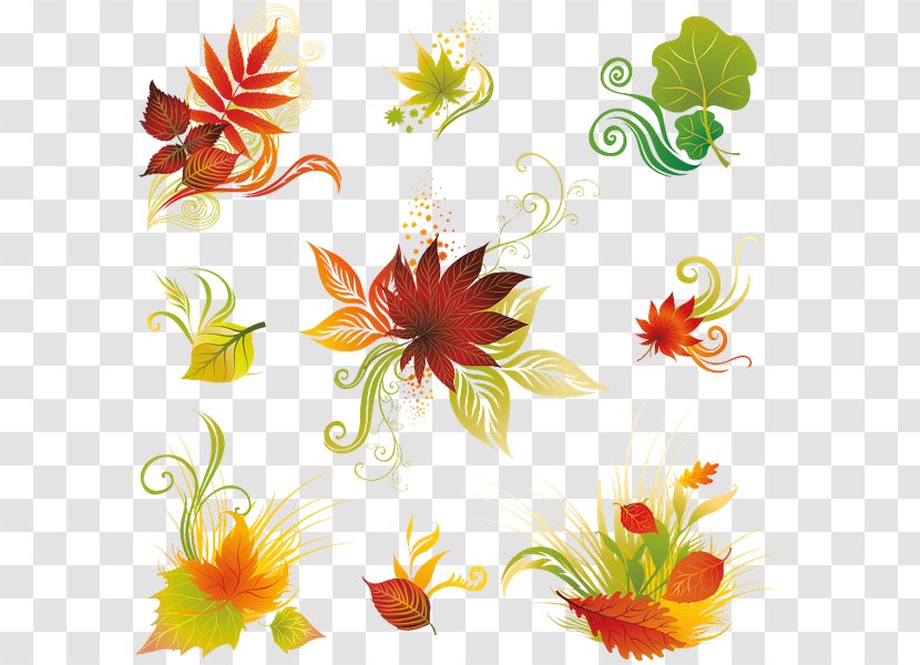 Clip Art - Flora - Floral Design Transparent PNG