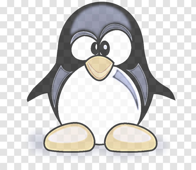 Penguin - Bird - Emperor Beak Transparent PNG
