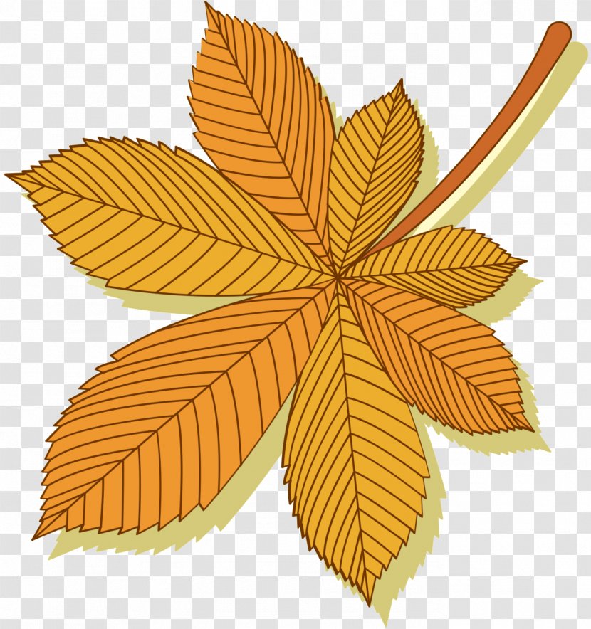 Leaf - Tree - Woody Plant Transparent PNG