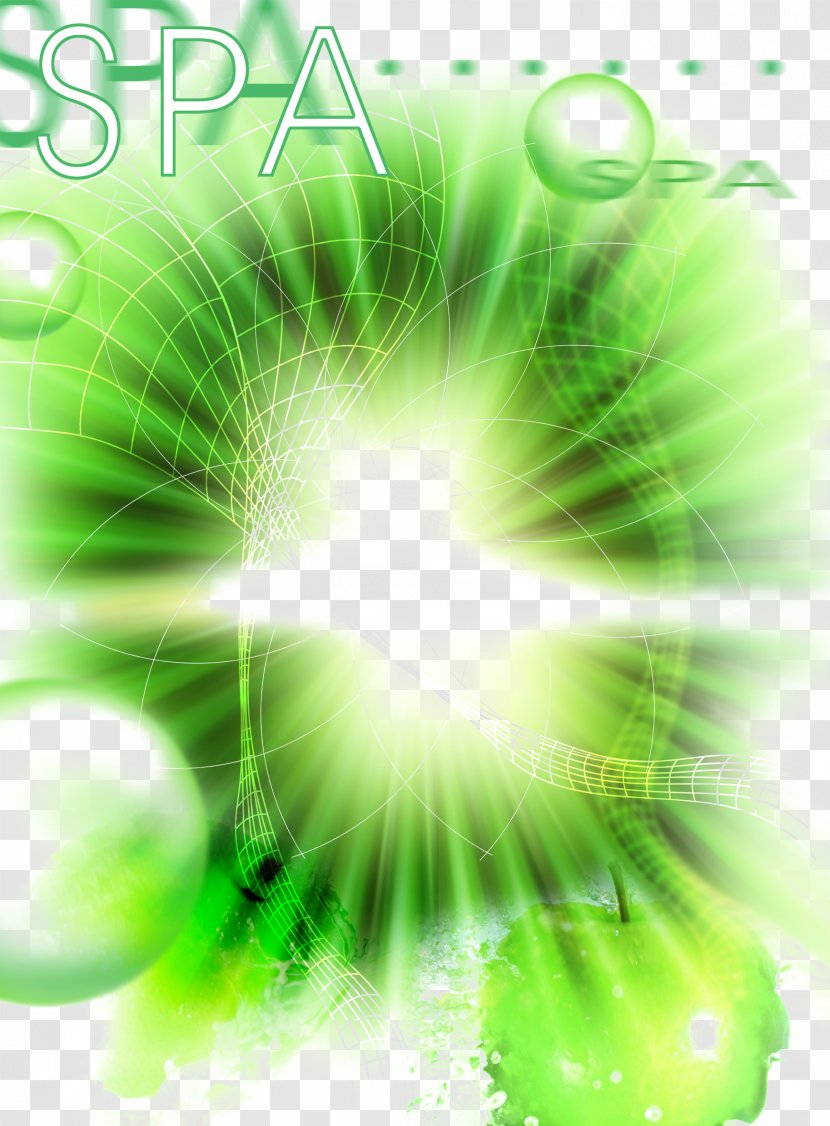 Chroma Key Fundal Health - Organism - Background Green Material Transparent PNG