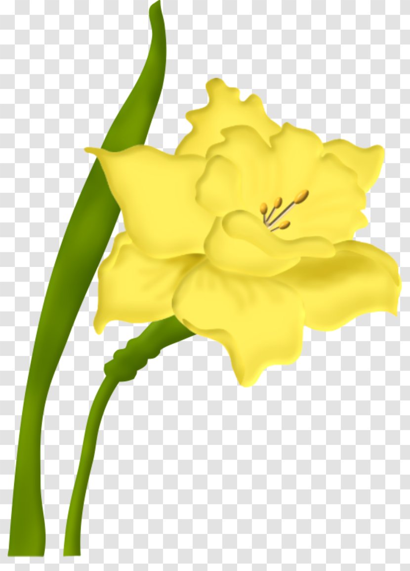 Cut Flowers Floral Design Blume - Flower Transparent PNG