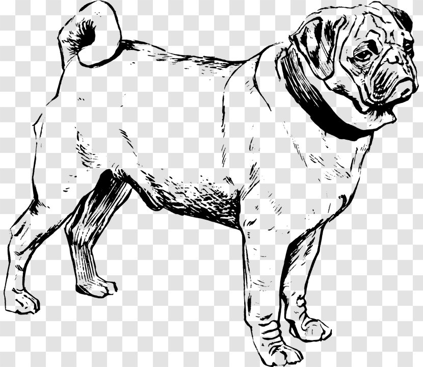 Puggle French Bulldog Chow - Freeblackandwhiteofdogs Transparent PNG