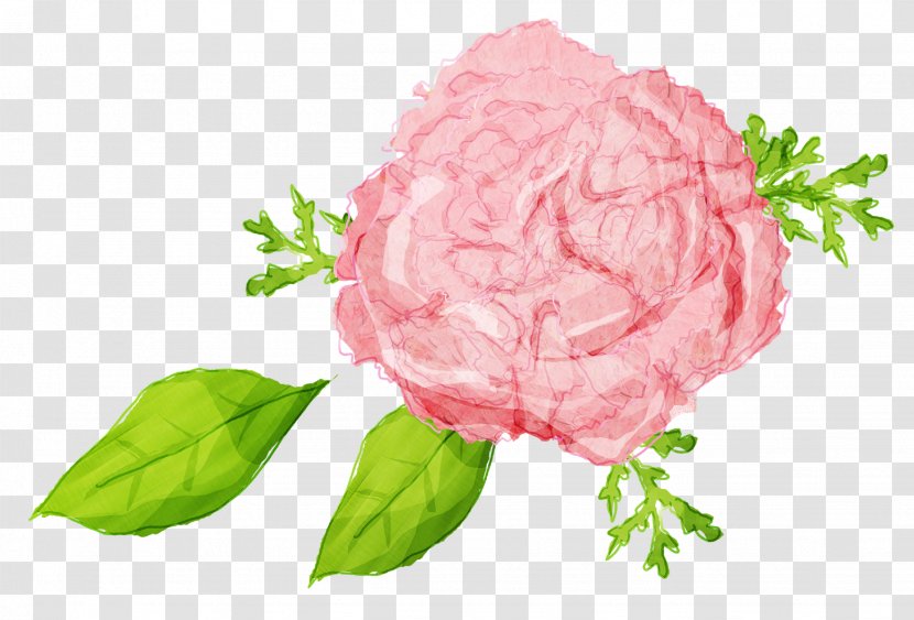 Illustration Image Download Graphic Design - Color - Carnation Flower Transparent PNG