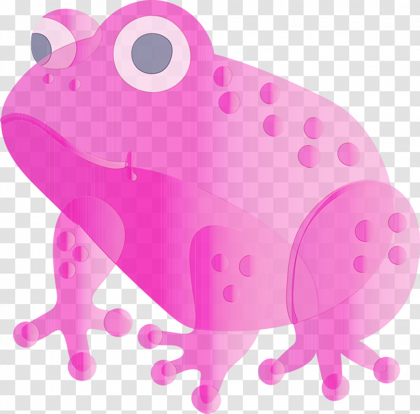 Frog Pink Toad Magenta True Frog Transparent PNG