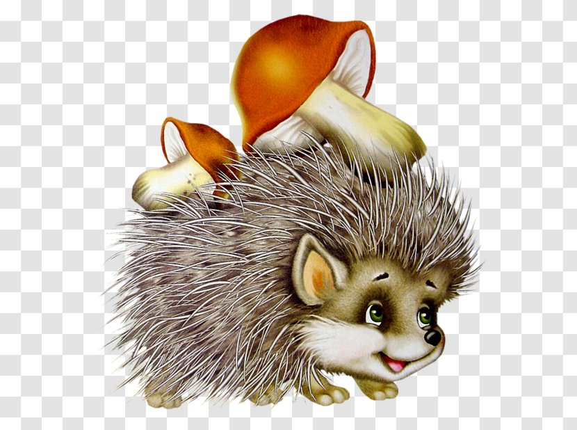 Hedgehog Clip Art - Mammal - Chapathi Transparent PNG