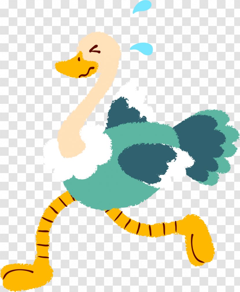 Duck Common Ostrich Bird Clip Art - Cartoon - Hand-painted Transparent PNG