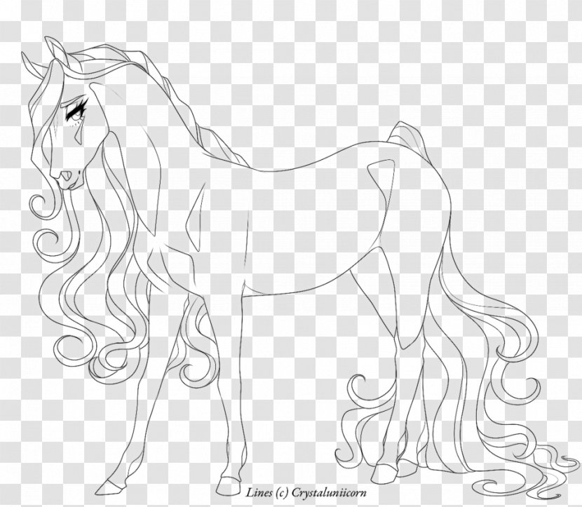 Line Art Drawing Horse Artist Transparent PNG