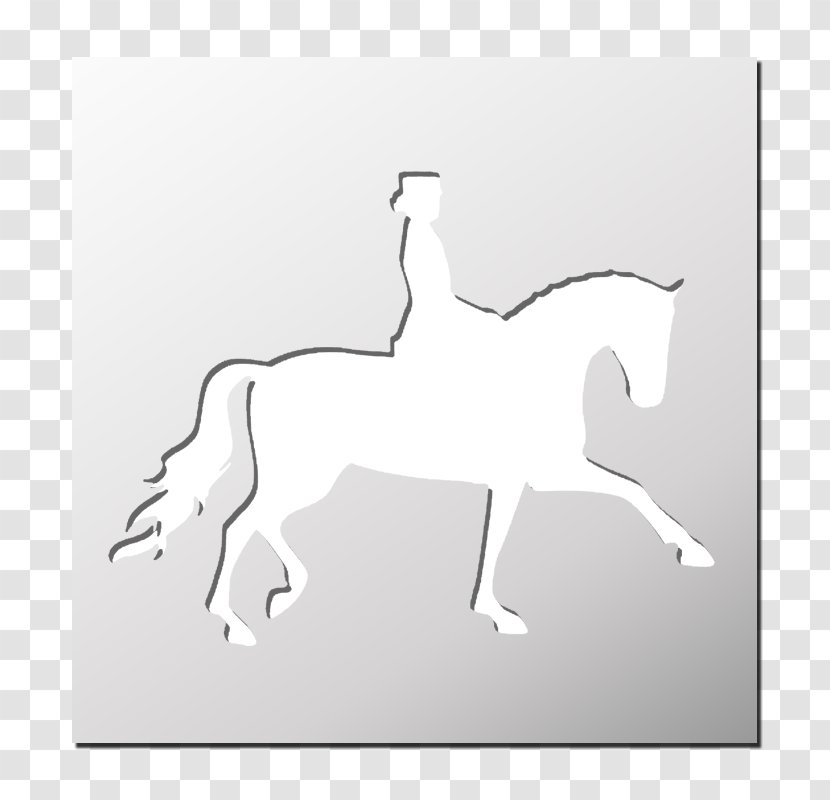 Foal Halter Mustang Mane Stallion - Tail Transparent PNG