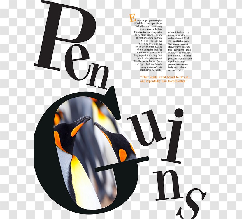 Magazine Page Layout Communication Design Logo - Penguin - Stylish Indesign Template Transparent PNG