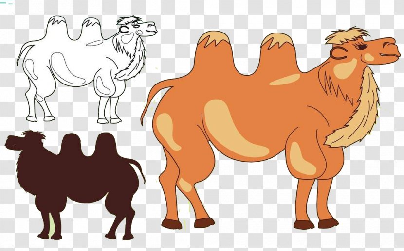 Camel Silhouette Illustration - Mammal - Team Transparent PNG