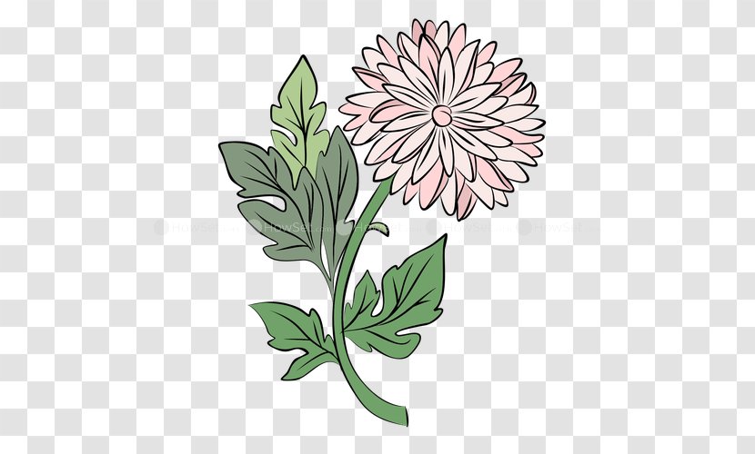Floral Design Drawing Watercolor Painting - Plant Stem Transparent PNG